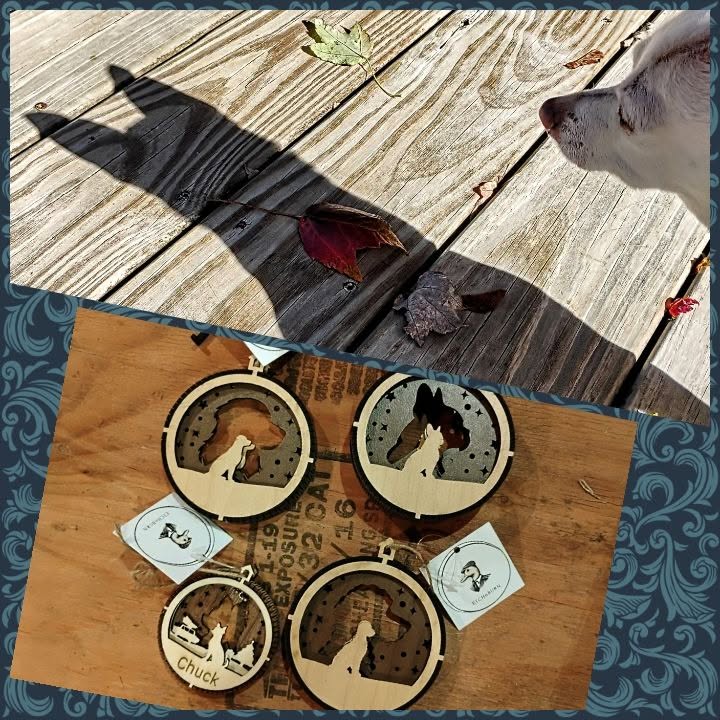 Dogs